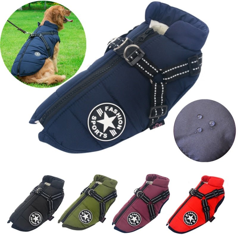 Colete Corta-Vento Pet Jones™ | Roupa Para Cachorro Rainha Store