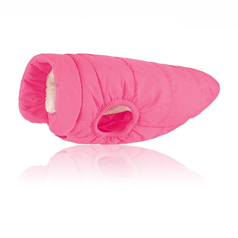 Colete Pet Steve™ | Roupa Para Cachorro Rainha Store