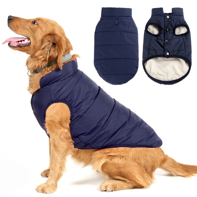 Colete Pet Steve™ | Roupa Para Cachorro Rainha Store