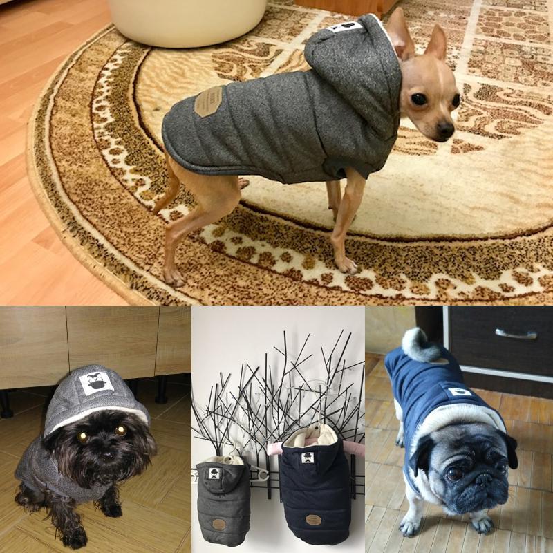 Colete de Inverno para Cachorros | Gentleman Rainha Store