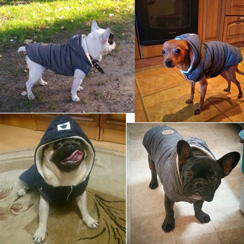 Colete de Inverno para Cachorros | Gentleman Rainha Store