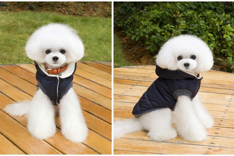 Colete de Inverno para Cachorros | Gentleman Rainha Store