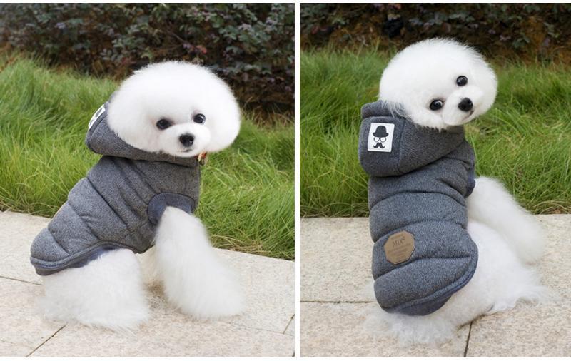 Colete de Inverno para Cachorros | Gentleman Rainha Store